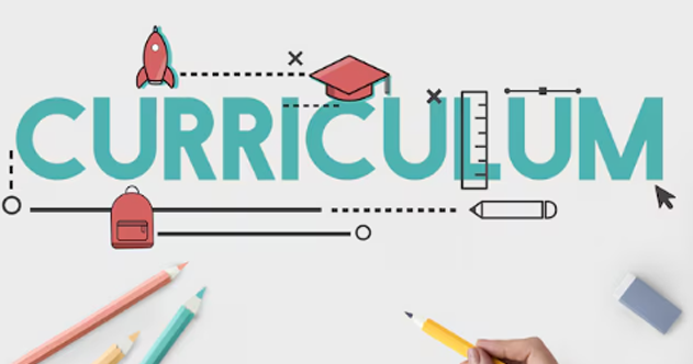 Curriculum
